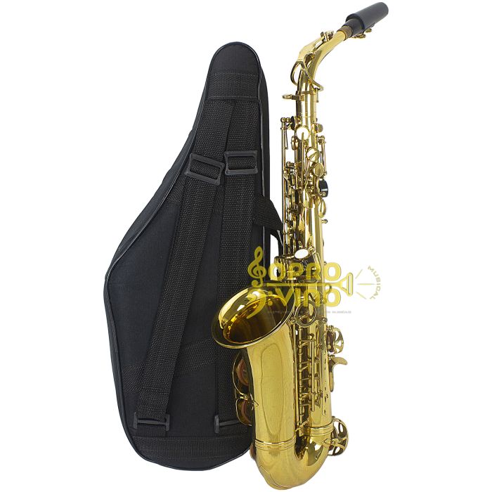 Sax alto conductor - corpo dourado - muito macio - regulado - ótimo som -  aceito trocas - parcelo 21x - Quero um Instrumento